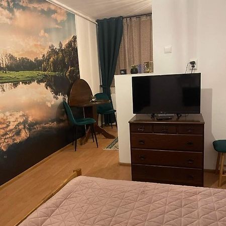 Cm Studio Apartment Сигишоара Екстериор снимка