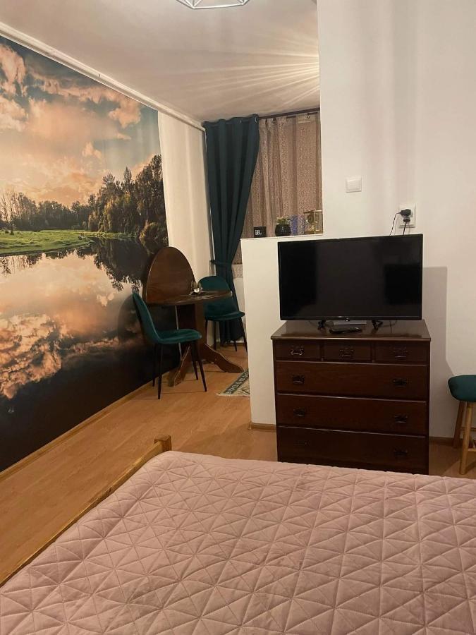 Cm Studio Apartment Сигишоара Екстериор снимка