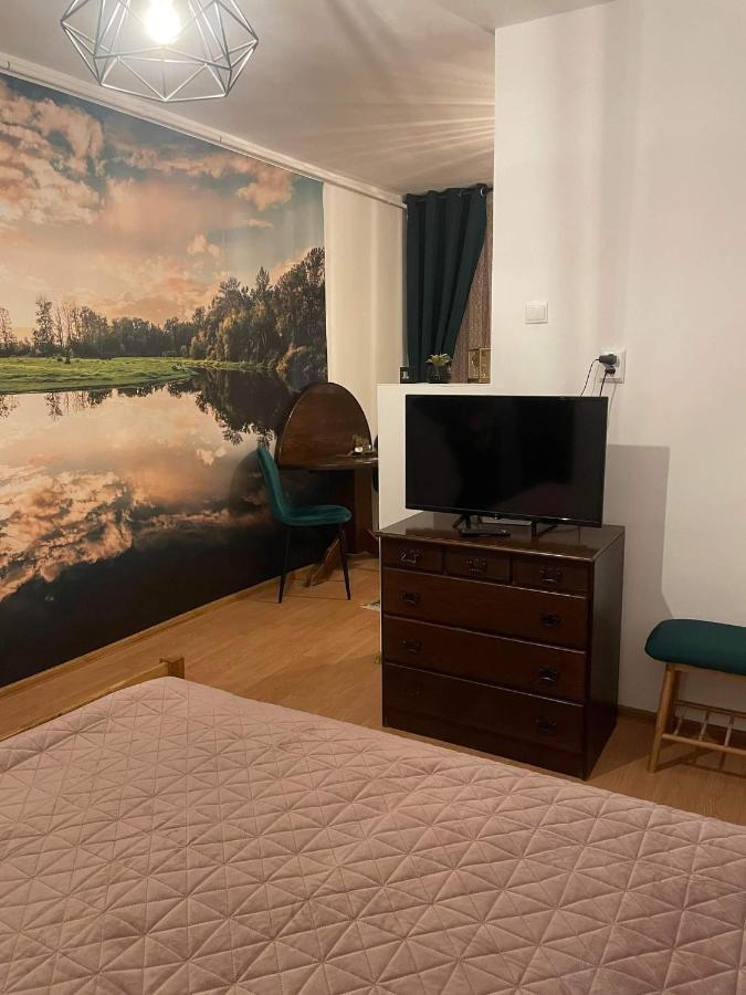 Cm Studio Apartment Сигишоара Екстериор снимка
