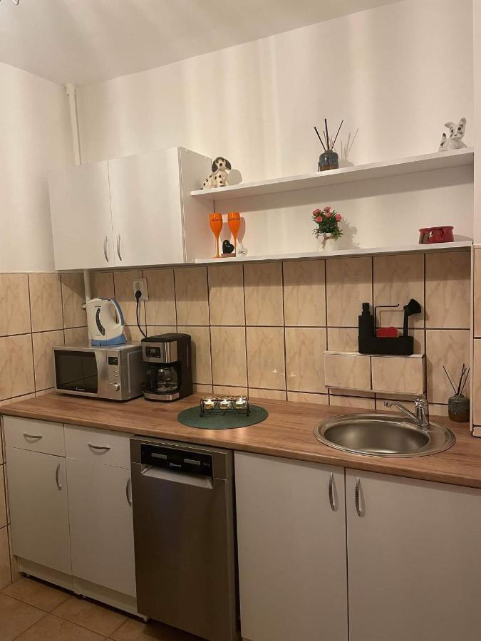 Cm Studio Apartment Сигишоара Екстериор снимка